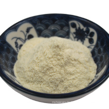 Hot sale factory directly supply probiotics powder in food grade Lactobacillus rhamnosus